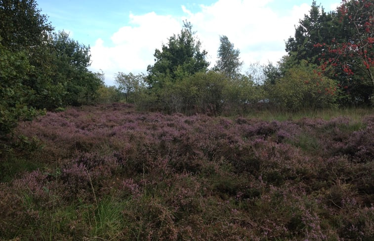 Natuurhuisje in Wittelte