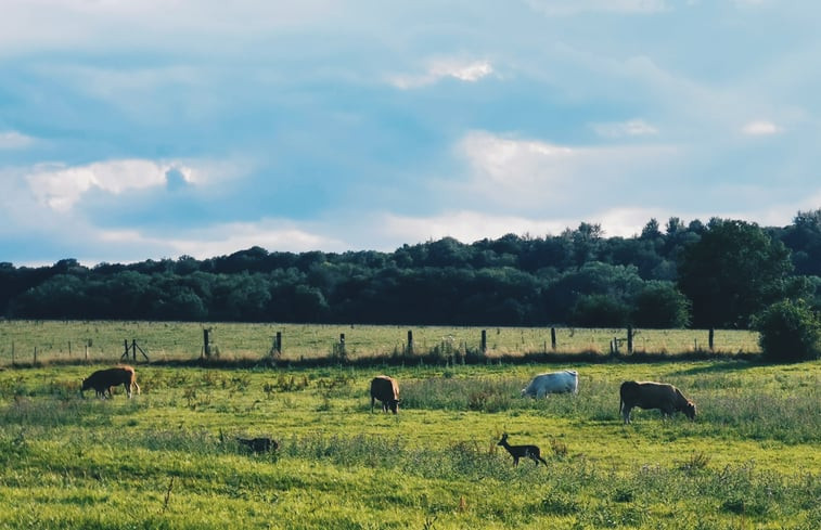 Natuurhuisje in Besmont