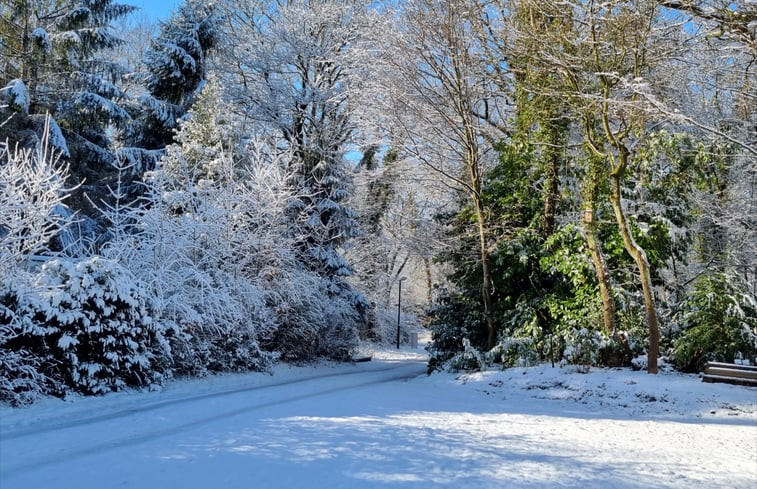 Natuurhuisje in Zuidlaren