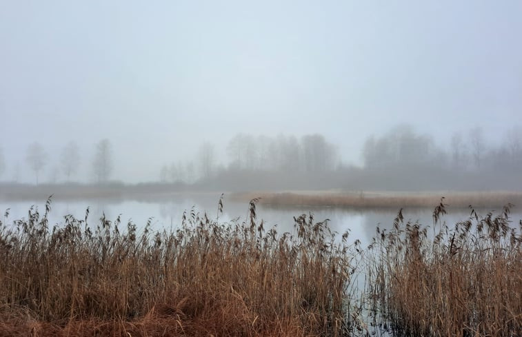 Natuurhuisje in Hå, Hamneda