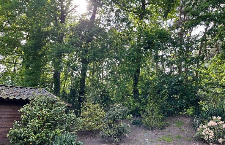 Natuurhuisje in Luyksgestel