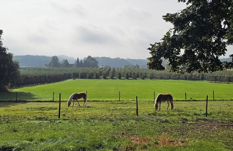 Natuurhuisje in Bekkevoort