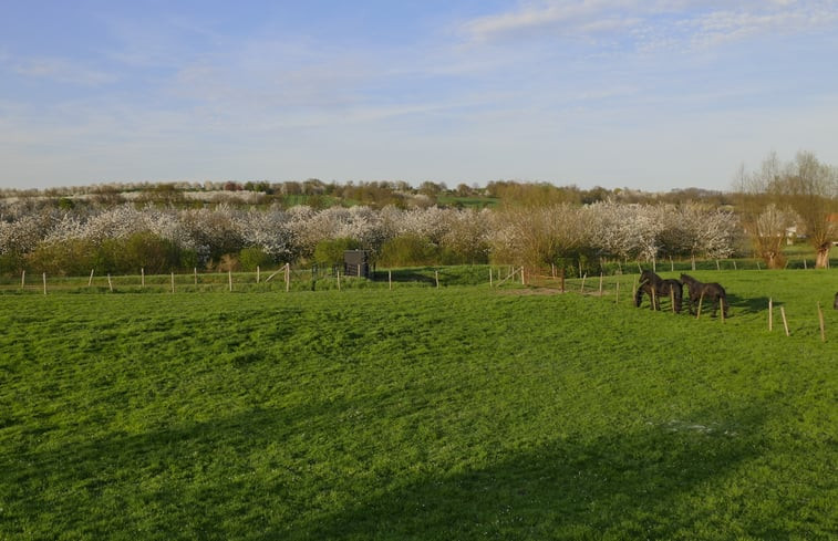 Natuurhuisje in Eijsden-Margraten