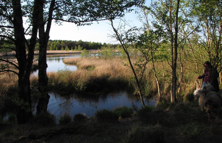 Natuurhuisje in Vledderveen