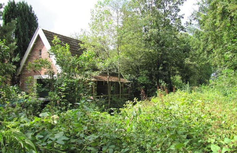 Natuurhuisje in Twijzelerheide