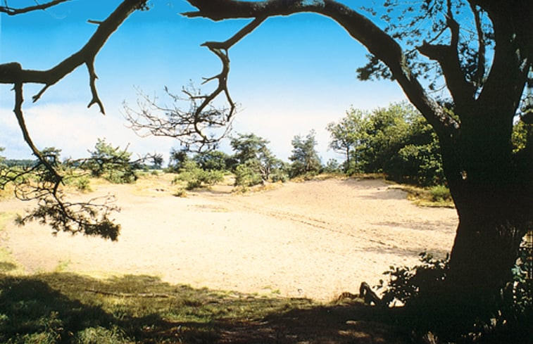 Natuurhuisje in Langedijke