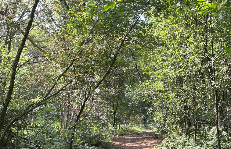 Natuurhuisje in Uelsen