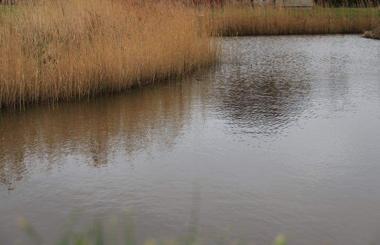 Natuurhuisje in Harlingen