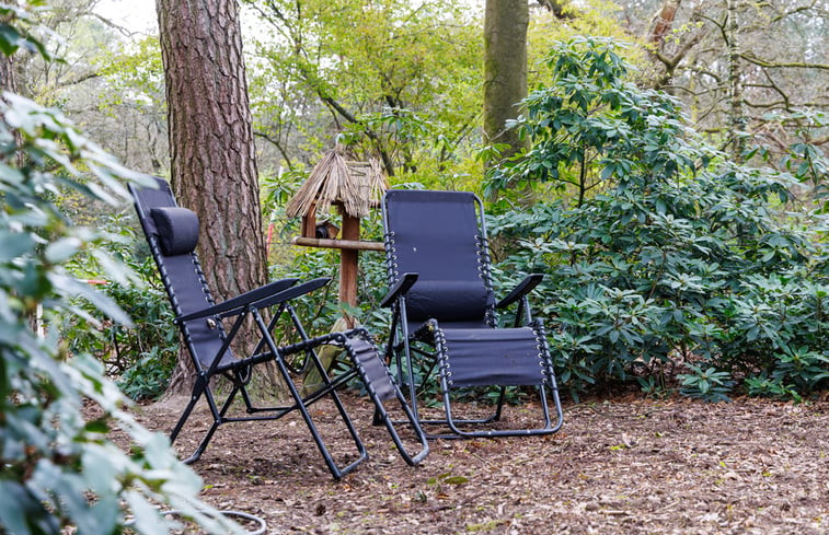 Natuurhuisje in Wekerom