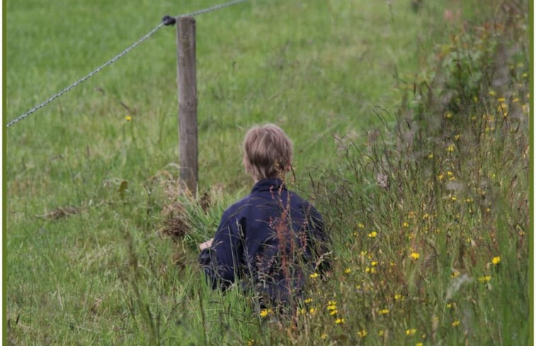 Natuurhuisje in Ommen