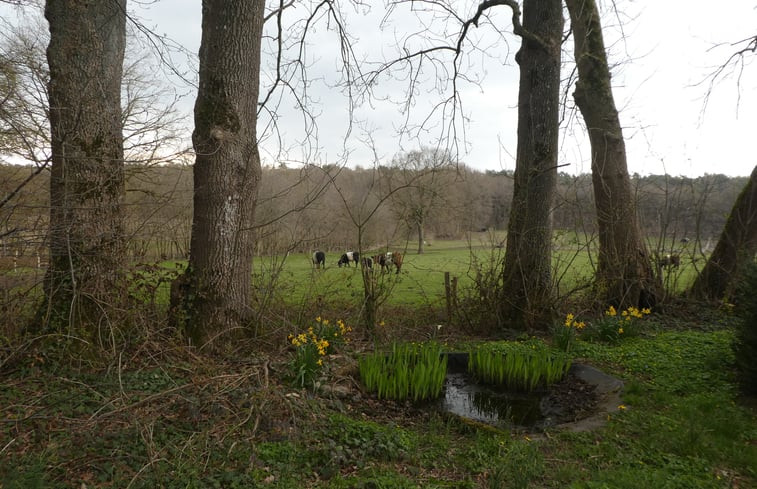 Natuurhuisje in Garderen