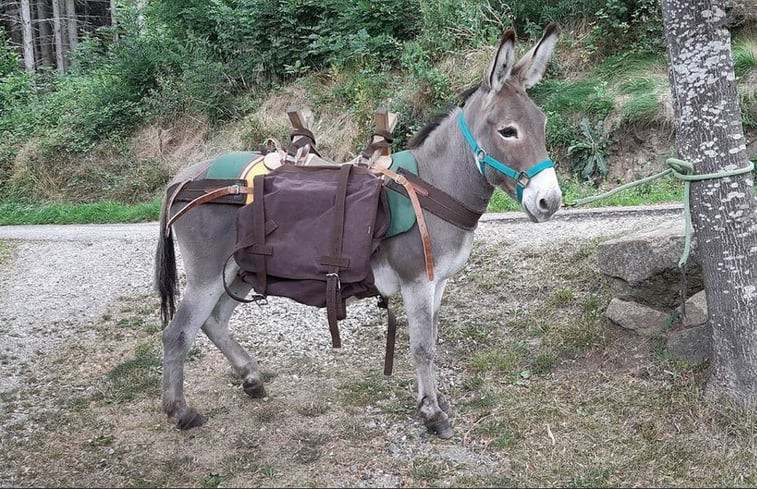 Natuurhuisje in VANOSC - Ardèche