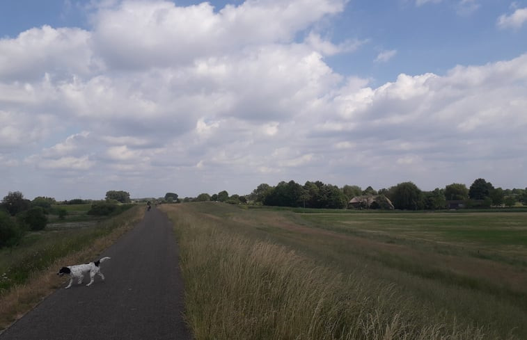 Natuurhuisje in Hurwenen