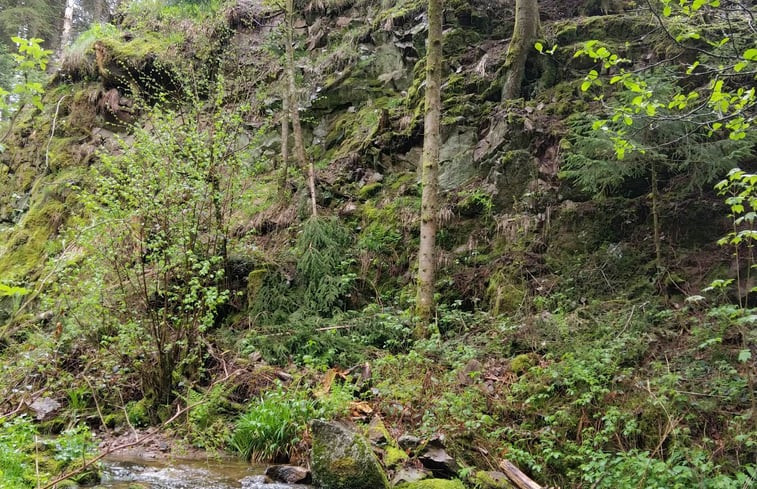 Natuurhuisje in GERARDMER