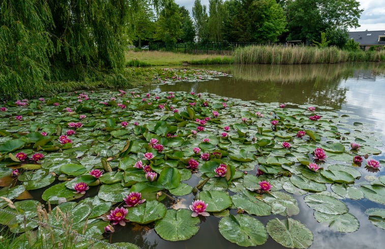 Natuurhuisje in Hensbroek