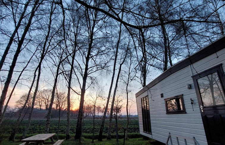 Natuurhuisje in Bourtange