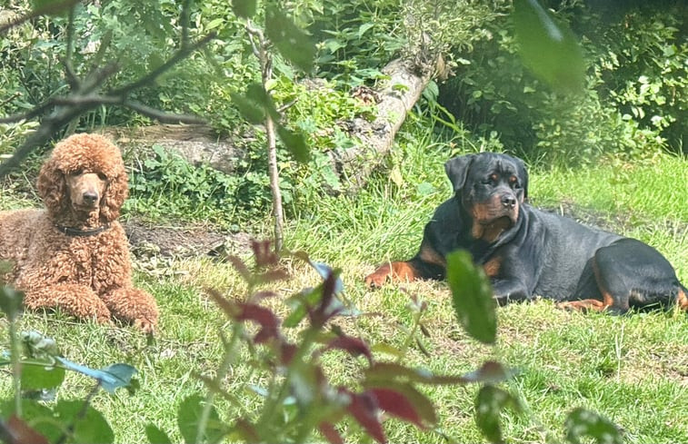 Natuurhuisje in Koekange