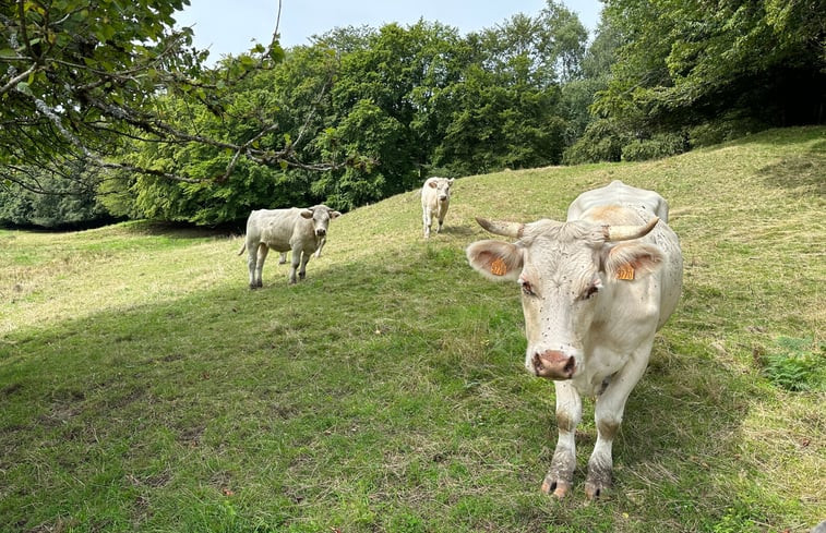 Natuurhuisje in Villapourcon