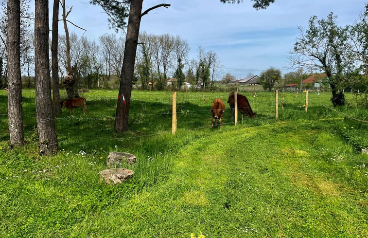 Natuurhuisje in Sainte-Gemme