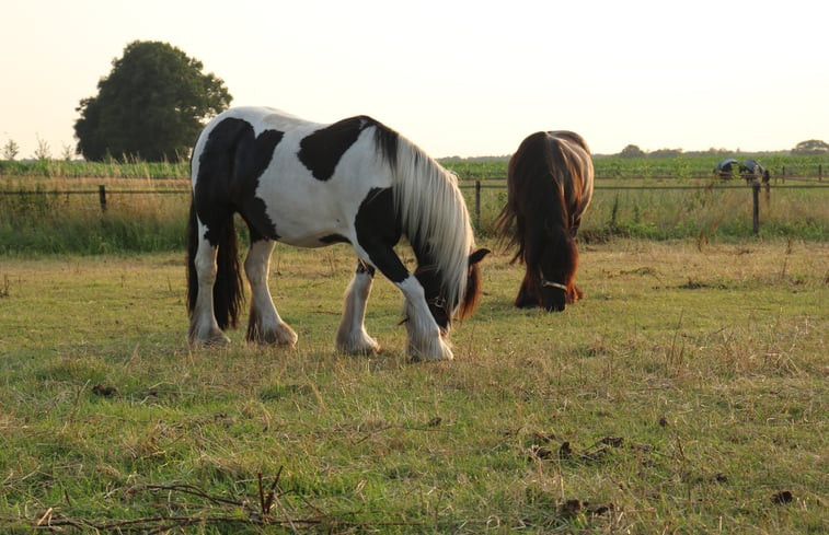 Natuurhuisje in Essen