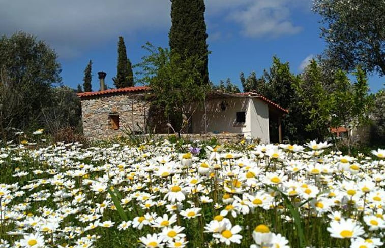 Natuurhuisje in Votso Vlamari Samos