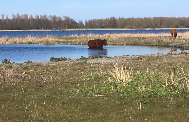 Natuurhuisje in Purmerland