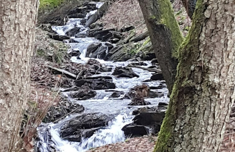 Natuurhuisje in Kollig