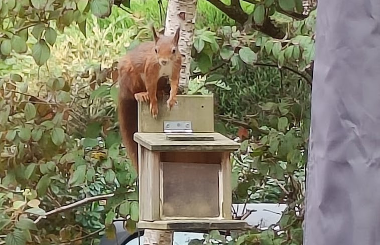 Natuurhuisje in Rekem