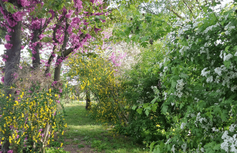 Natuurhuisje in castiglione del lago