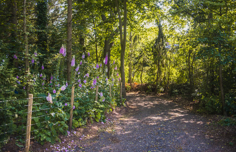 Natuurhuisje in Waskemeer