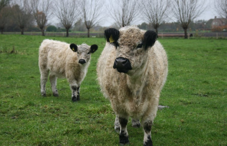 Natuurhuisje in Wagenberg