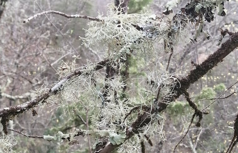 Natuurhuisje in Poppi