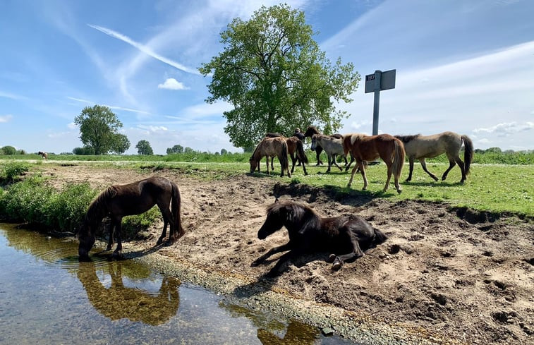 Natuurhuisje in Maasbommel