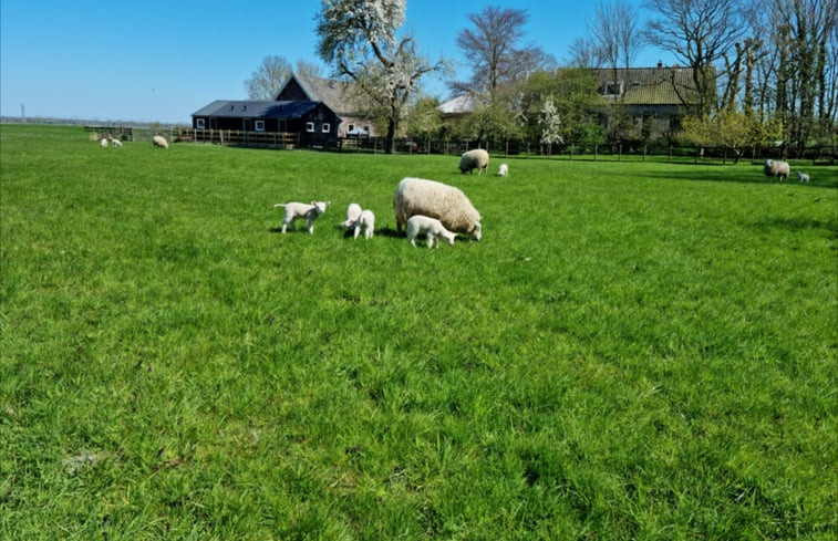 Natuurhuisje in Weesp