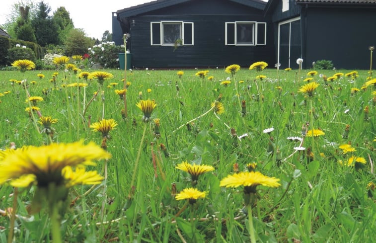 Natuurhuisje in Wiefelstede