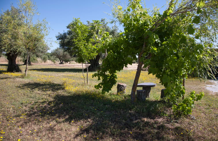 Natuurhuisje in Évora