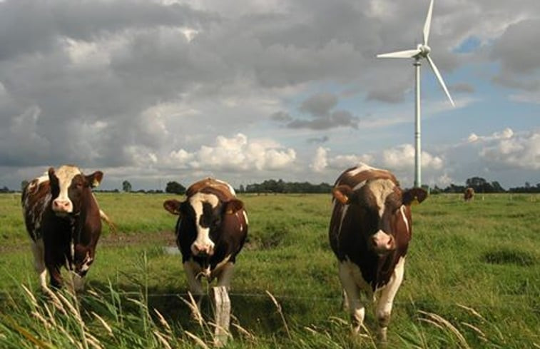 Natuurhuisje in Burgh-Haamstede