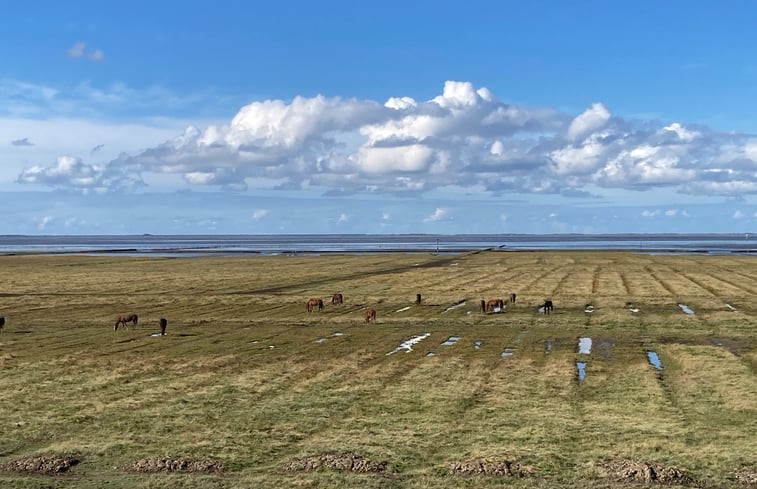 Natuurhuisje in Warfhuizen