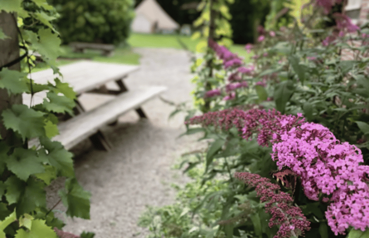 Natuurhuisje in Rutten