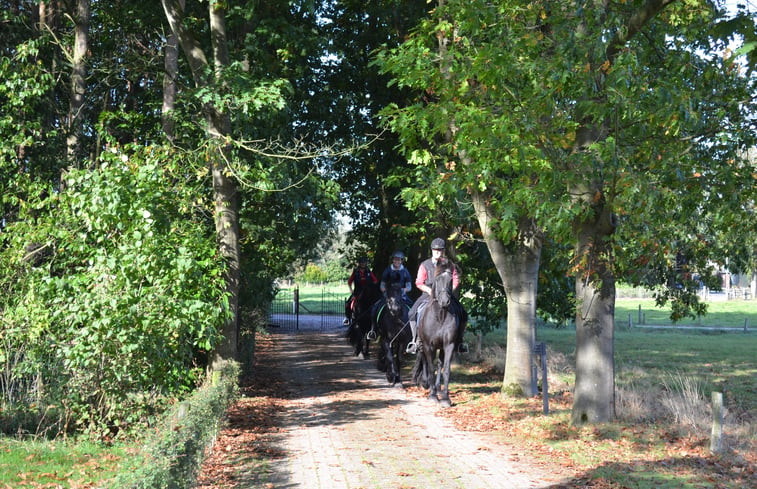 Natuurhuisje in Emst