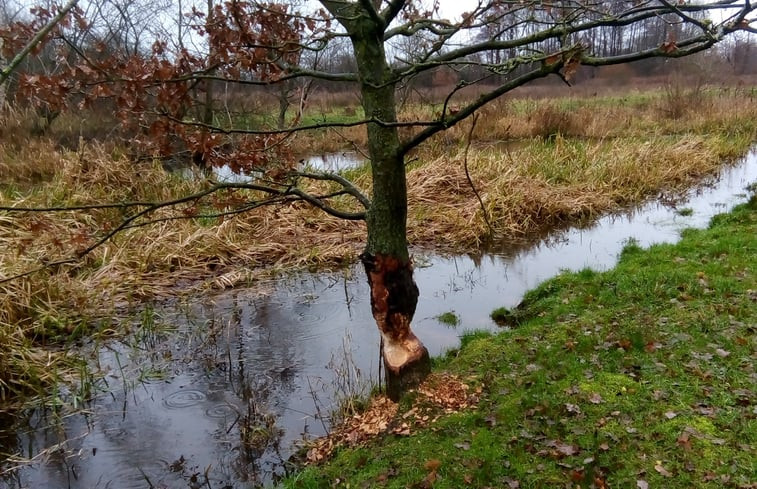 Natuurhuisje in Melderslo