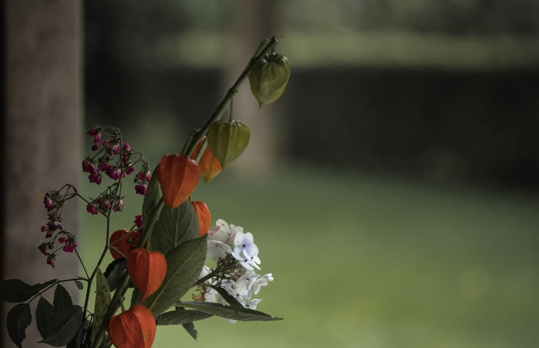 Natuurhuisje in de Lutte