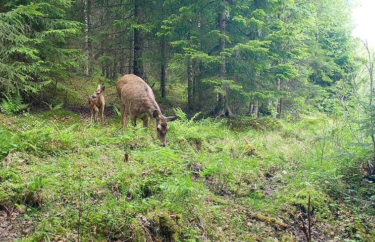 Natuurhuisje in Eksharad