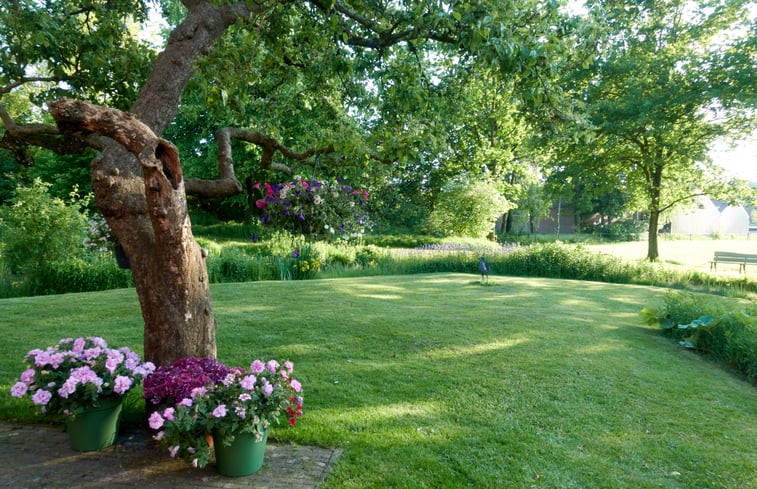 Natuurhuisje in Grolloo