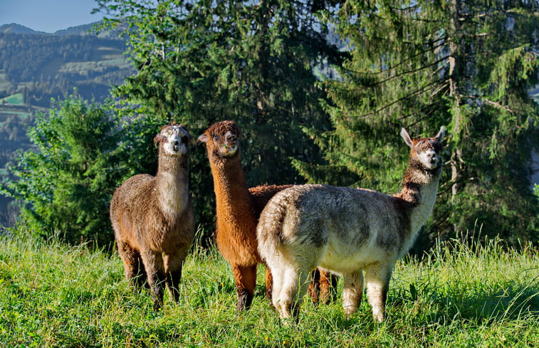 Natuurhuisje in Oberstaufen