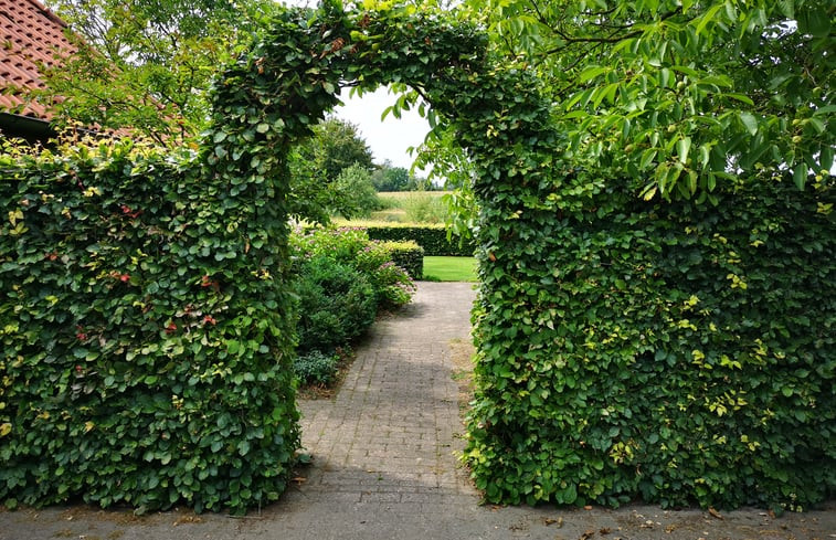 Natuurhuisje in Harfsen