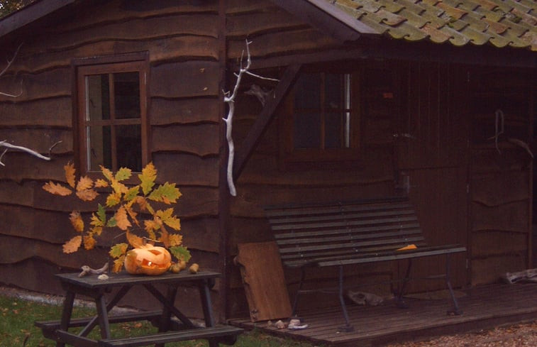 Natuurhuisje in Vorden