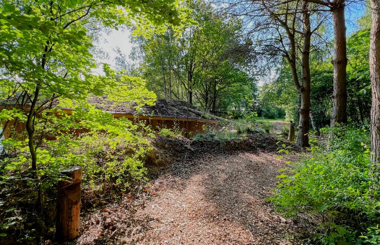 Natuurhuisje in Odoornerveen