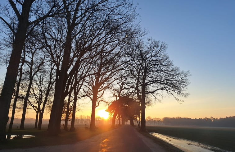 Natuurhuisje in Harfsen