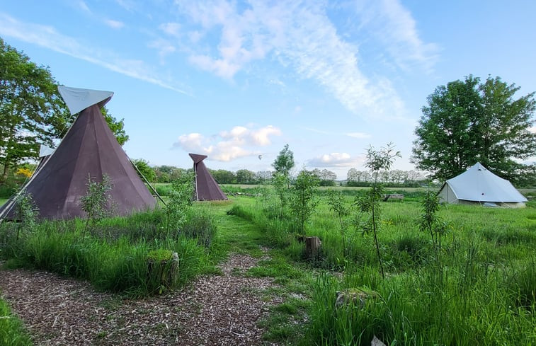 Natuurhuisje in Siegerwoude